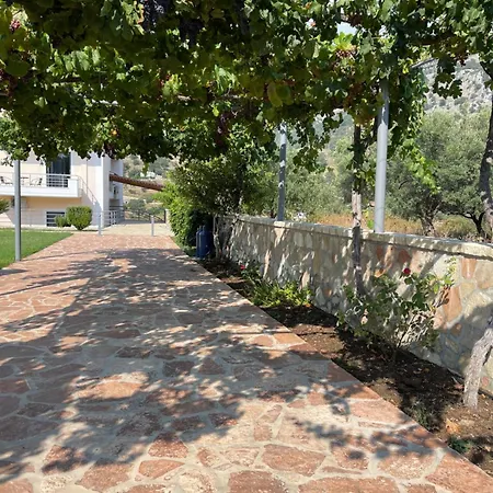 Belvedere & Διαμέρισμα