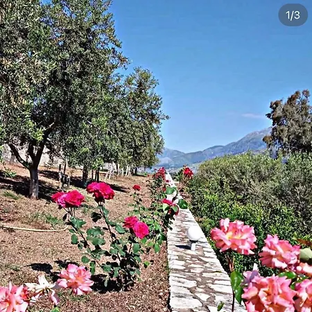 Belvedere & * Χειμάρρα