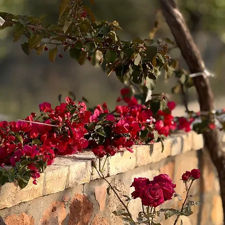 Διαμέρισμα Belvedere &