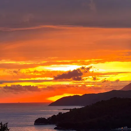 Διαμέρισμα Belvedere & *