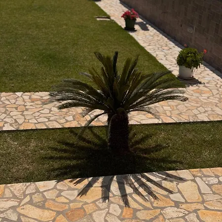 Belvedere & * Χειμάρρα