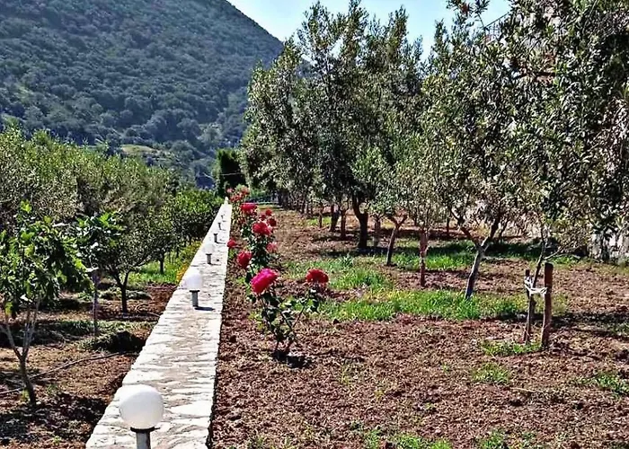 Belvedere & Apartmán *