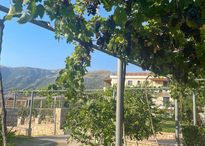 Belvedere & アパート