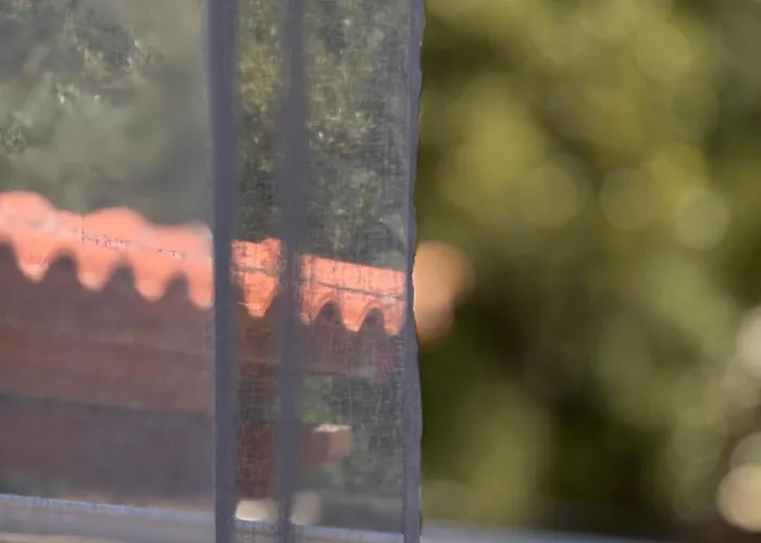 アパート Belvedere & ヒマラ