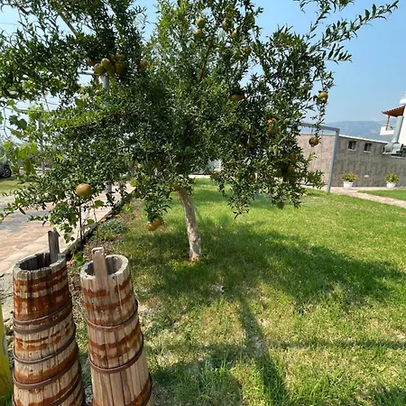 Appartement Belvedere Hotel&suites *