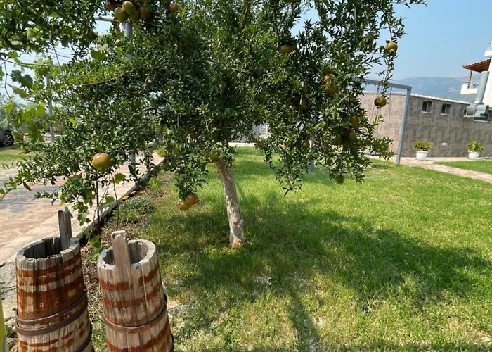 Appartement Belvedere & *